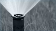Irrigation sprayer